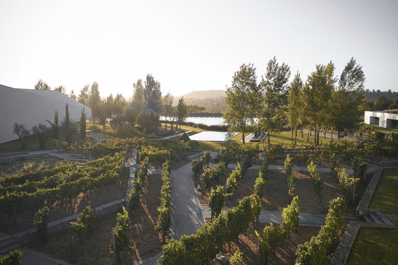 L'And Vineyards - Relais & Chateaux Montemor-o-Novo Esterno foto